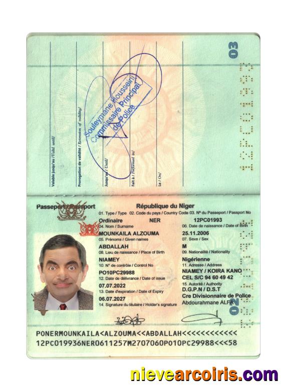 Niger Republic passport 2022-present